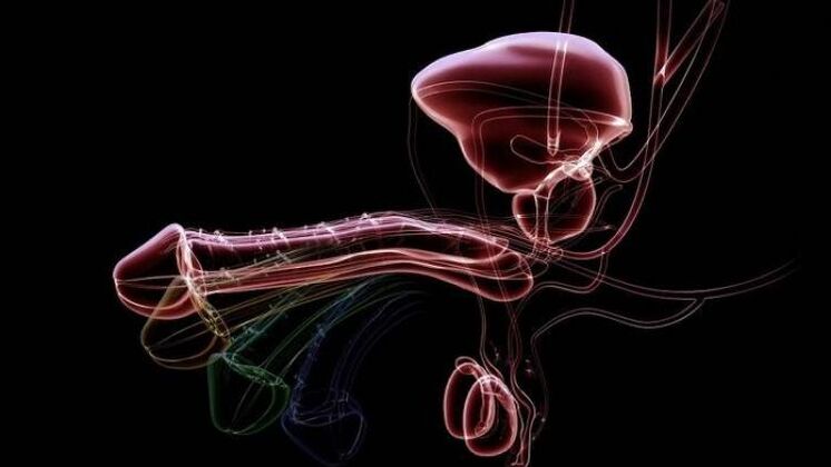 Denn Sekrete treten auf, wenn Männer erregt sind, und das ist normal